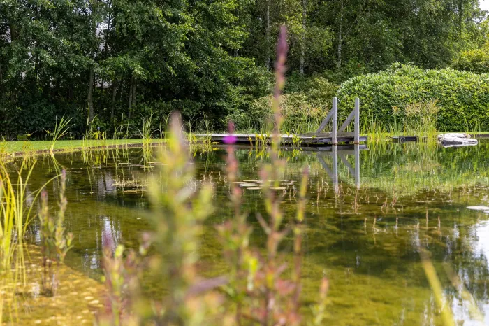 Soorten Zwemvijvers - De Natuurlijke Zwemvijver